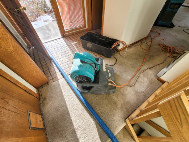 Best Water damage restoration company  in North Syracuse, NY