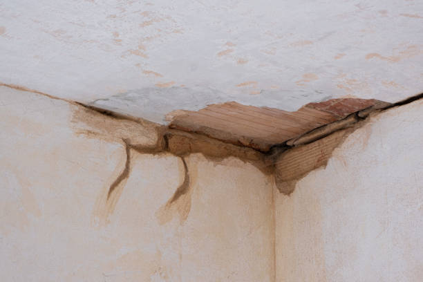 Best Water damage restoration near me  in North Syracuse, NY