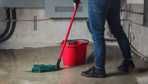 Best 24/7 water damage repair  in North Syracuse, NY