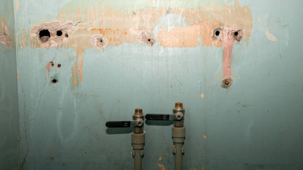 Best Water damage contractors near me  in North Syracuse, NY
